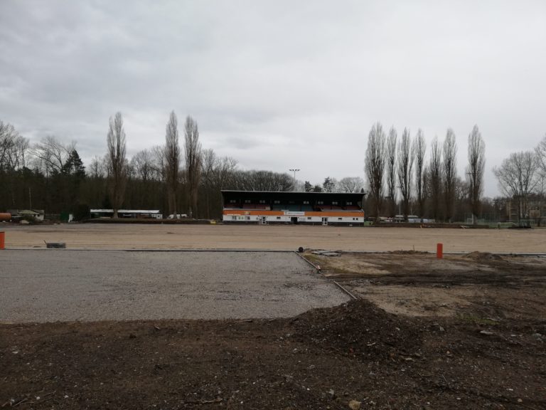 Vyzýváme vedení města, aby zastavilo kácení na hřišti FK Bohemia Poděbrady